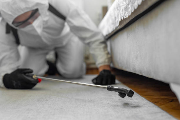 Professional Pest Control technician working in Kent County County, TX